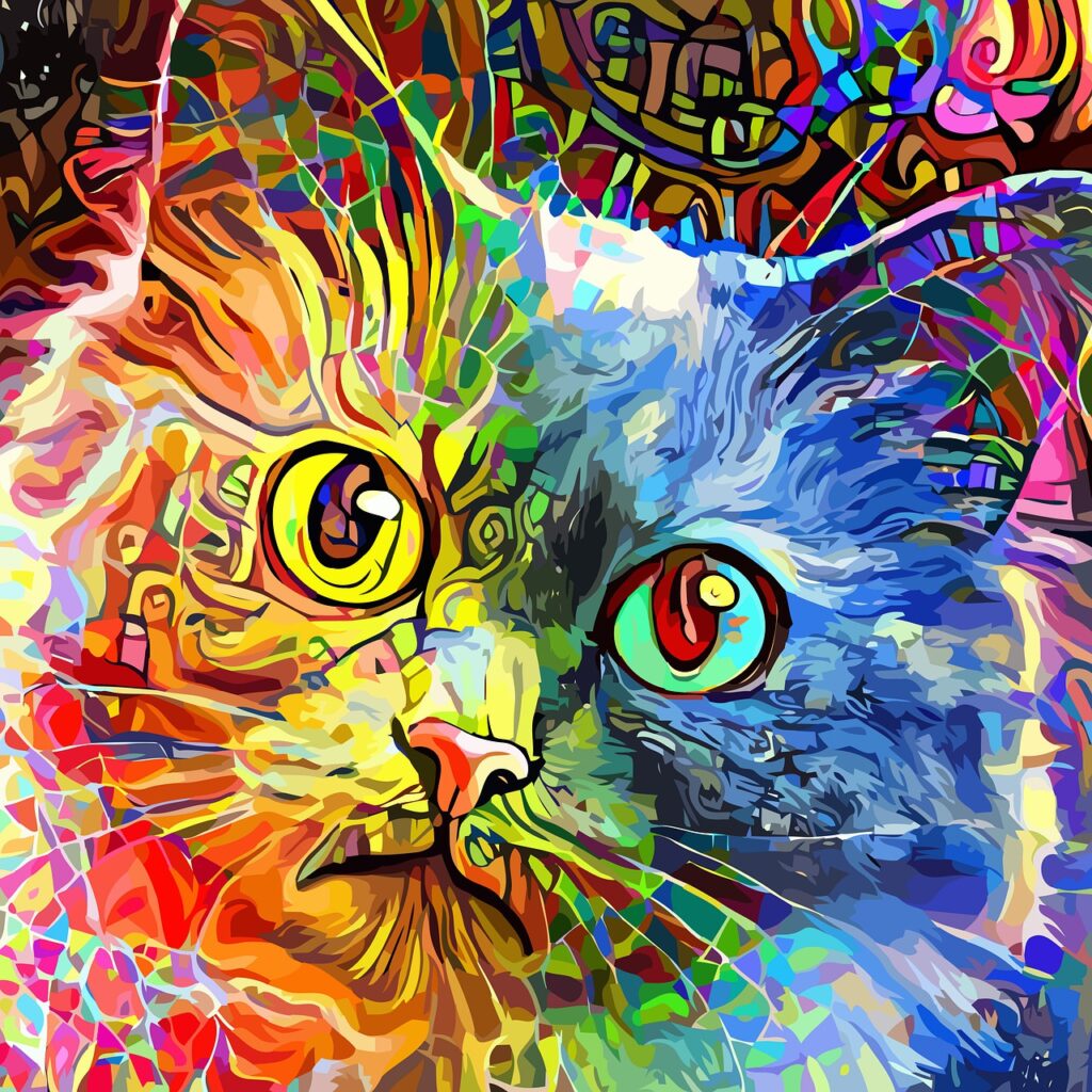 cat, tabby cat, colorful-6586888.jpg